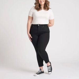 NWT Universal Standard Seine High Rise Skinny Jean